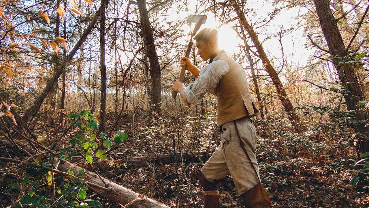 Tree Removal for Businesses in Rome, GA